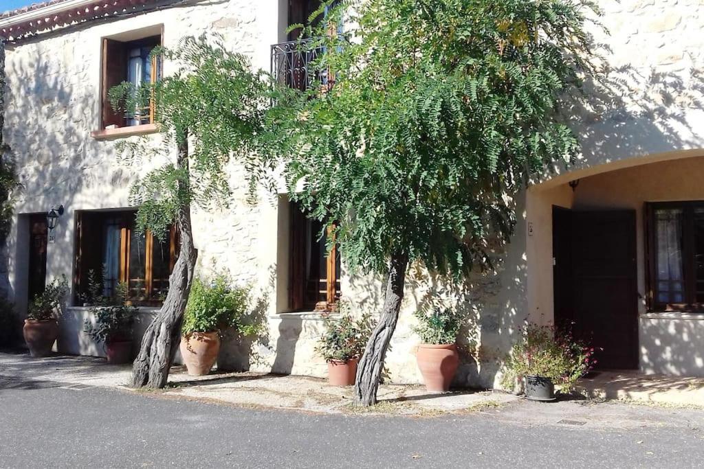 Chez Sheila Apartamento Cucugnan Exterior foto